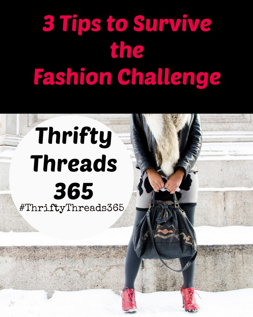 fashion challenge, no new clothes, thrifty threads 365