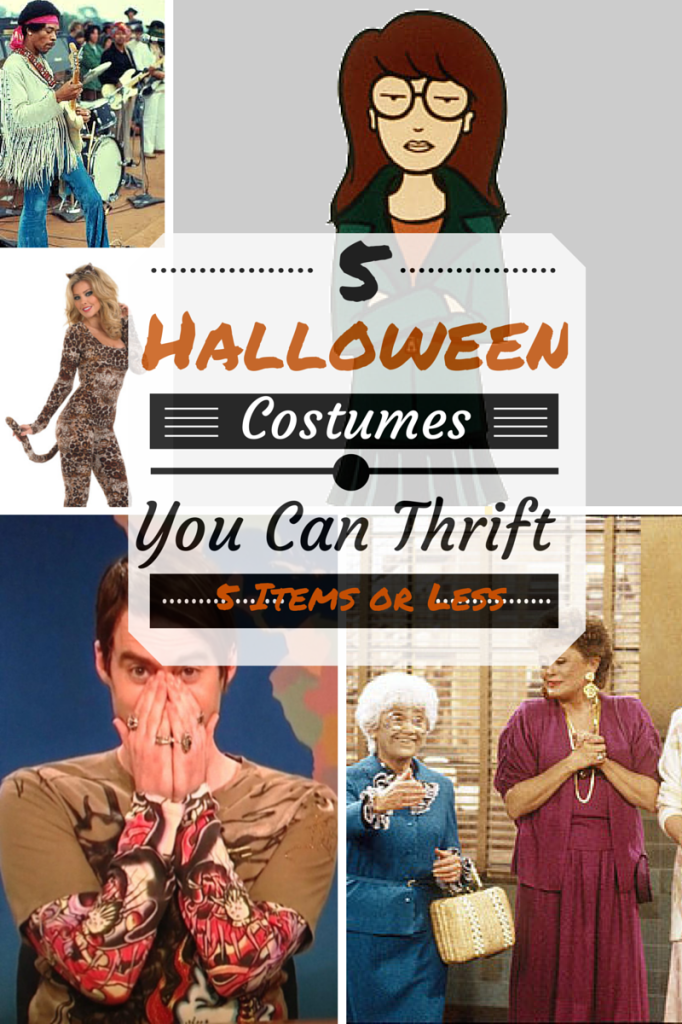 halloween-costume-you-can-thrift-thrift-store-halloween-costume-homemade-thrift-store-halloween-costume